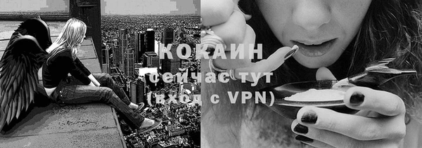 ПСИЛОЦИБИНОВЫЕ ГРИБЫ Бронницы