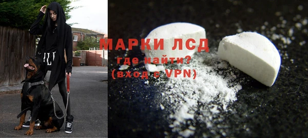 PSILOCYBIN Бугульма