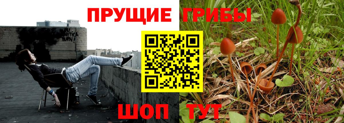 Галлюциногенные грибы Psilocybe  Вход с VPN  Сыктывкар 