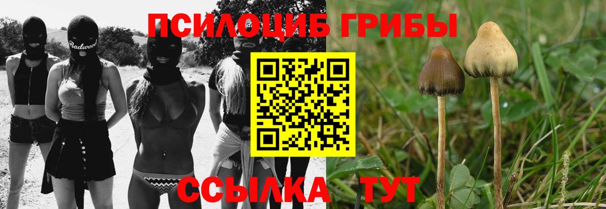 Галлюциногенные грибы ЛСД Сыктывкар